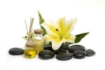 Reed Diffuser Products